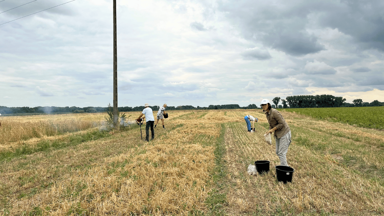 Pobranie prób glebowych po zbiorze ziarna